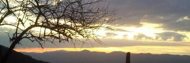 🍃Luis🍃 banner