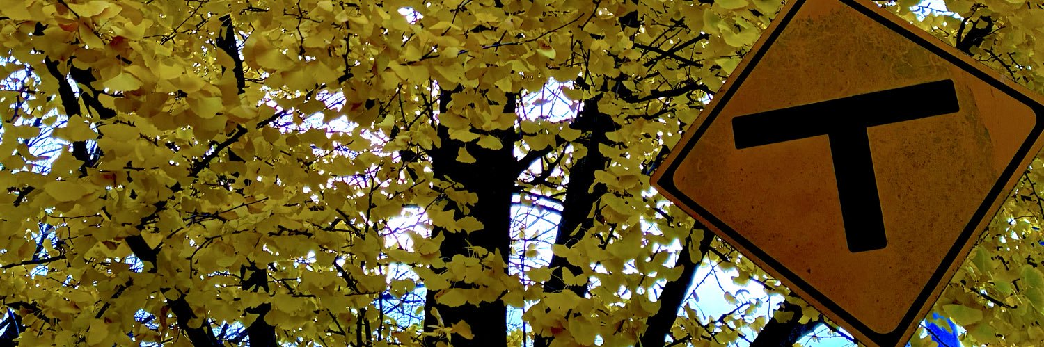 sitesnk banner