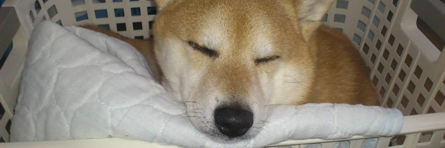 星守るSuzukiチョッパー banner