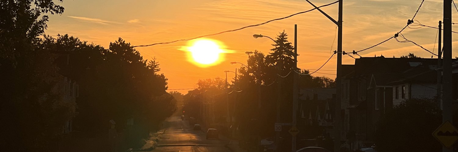 lisaleff71's profile banner image