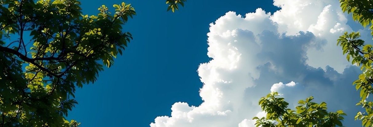 dehipnomar's profile banner image