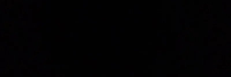 𝐓𝐡𝐞 𝐔𝐭𝐝 𝐀𝐫𝐜𝐡𝐢𝐯𝐞's banner
