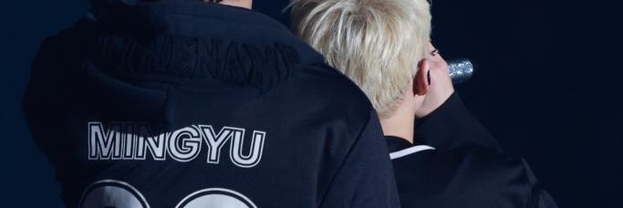 Sunny🐯|🌏🐺 ⁴³ banner