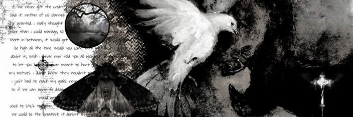 ⸻̸──̶ͯ ͯ݁ 𝐴zazel. banner