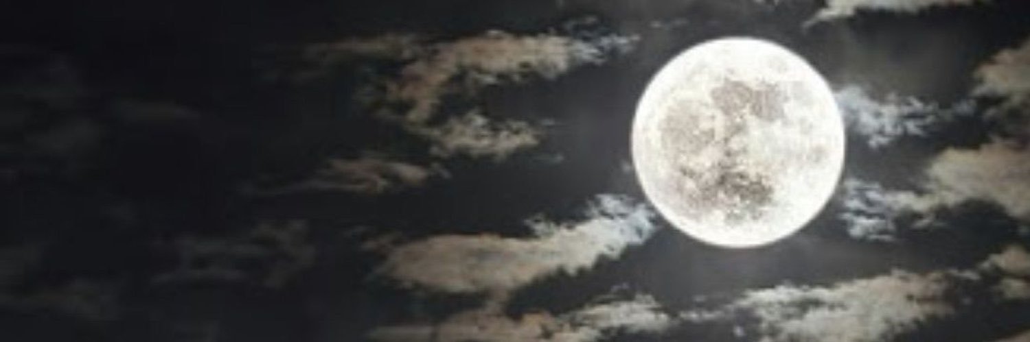 FS_TRR's profile banner image