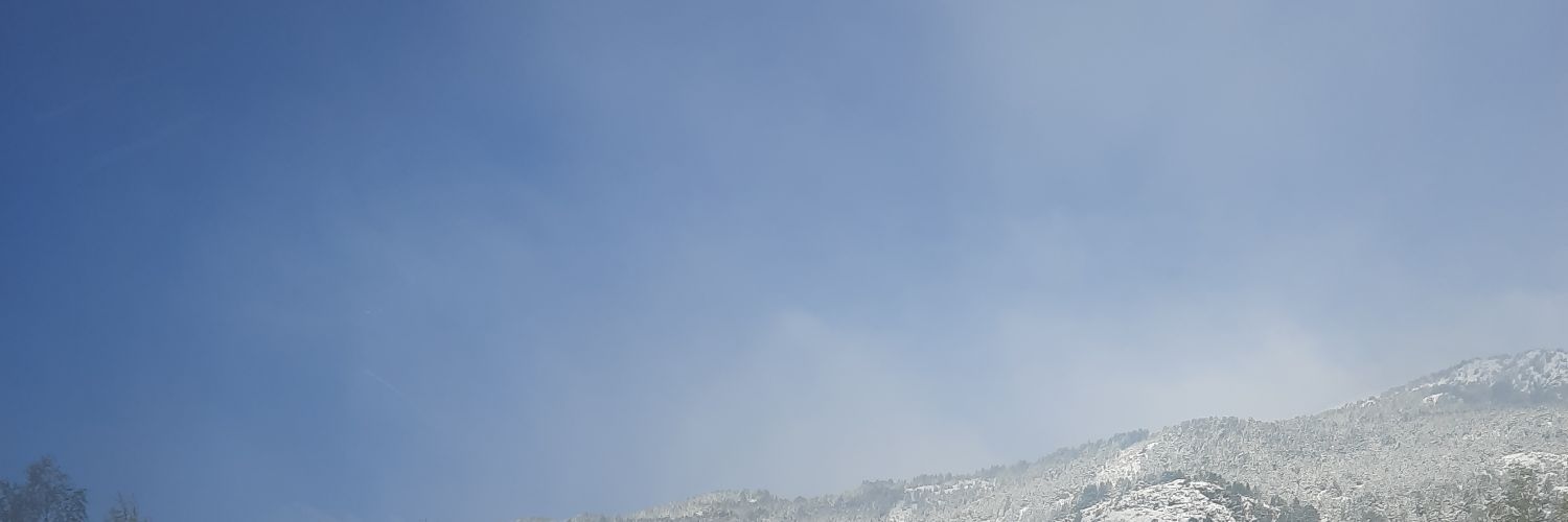 Mloiasol's profile banner image