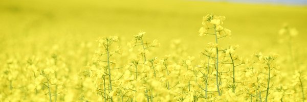 GFaithCL Profile Banner