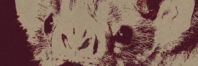 MaxiiMikee's profile banner image