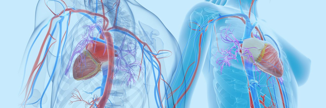 AORTA banner