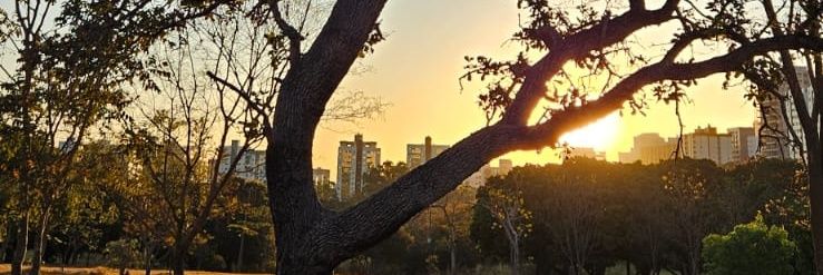 patyfarruda's profile banner image