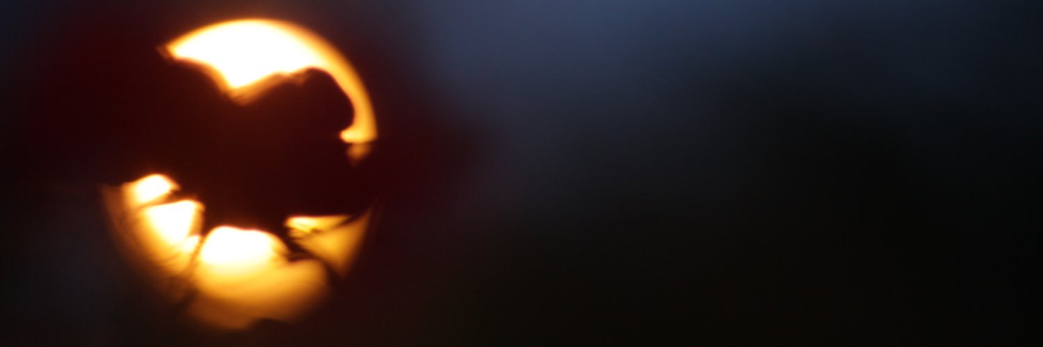 jakewicha's profile banner image