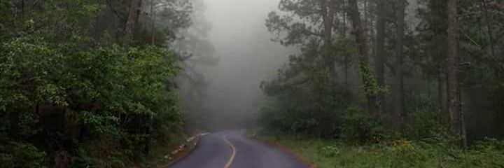 PattyAranda27's profile banner image