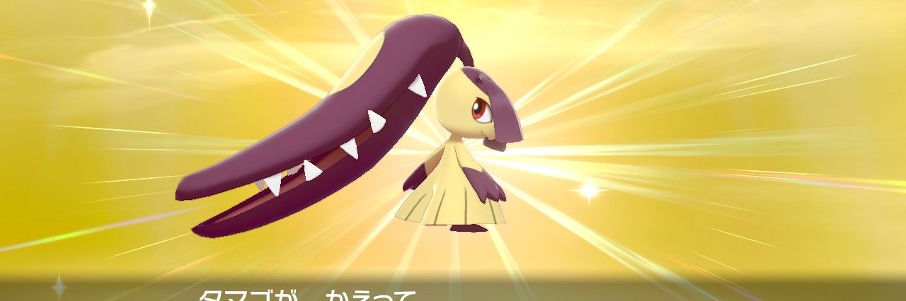 たで。's banner