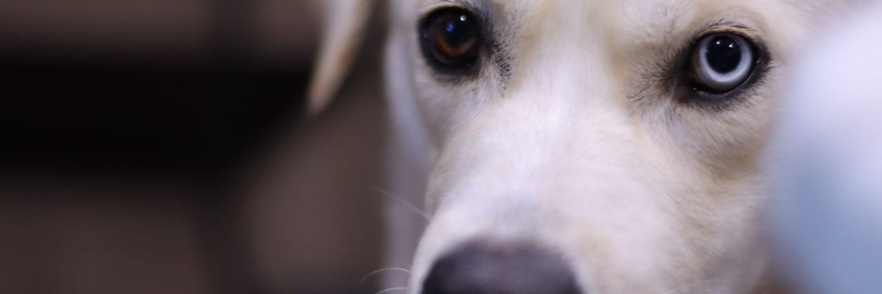 Matthew Marlowe banner