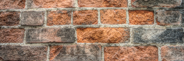 wolfewithane Profile Banner