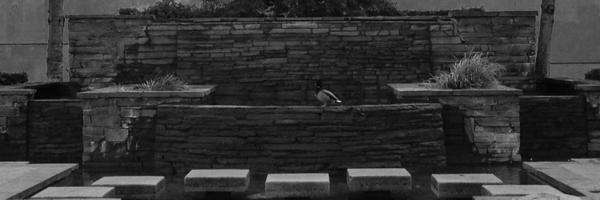 BeCircle Profile Banner