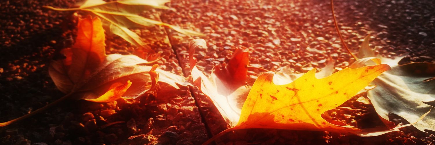 qhasqar's profile banner image