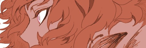nnk779's profile banner image
