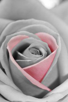 ange_walanda's profile banner image