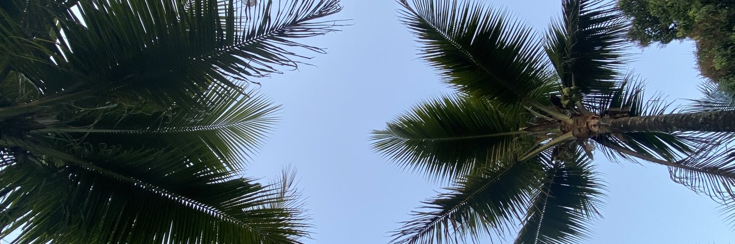 benzohan's profile banner image
