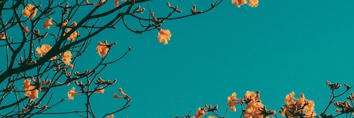 Cinthya_g98's profile banner image