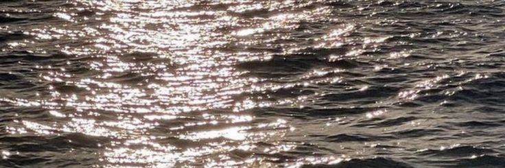 Klara Maymac banner