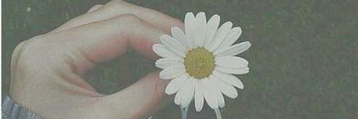 97_syada's profile banner image