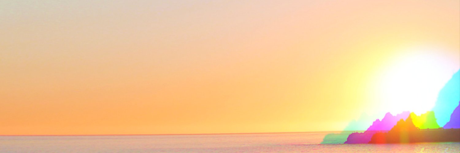 Selena Vidya banner