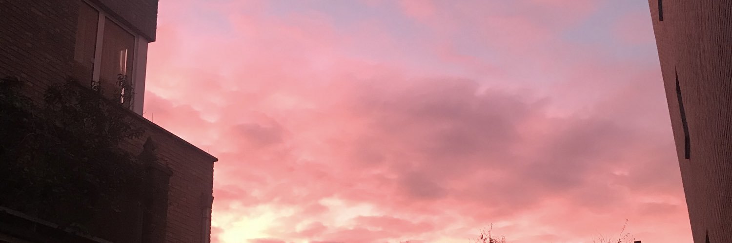 🦋 banner