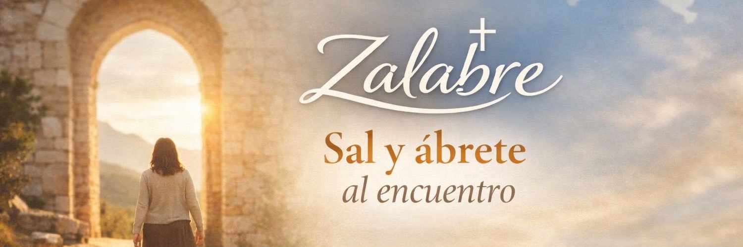 Zally banner