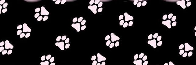 𝑻𝑶. banner