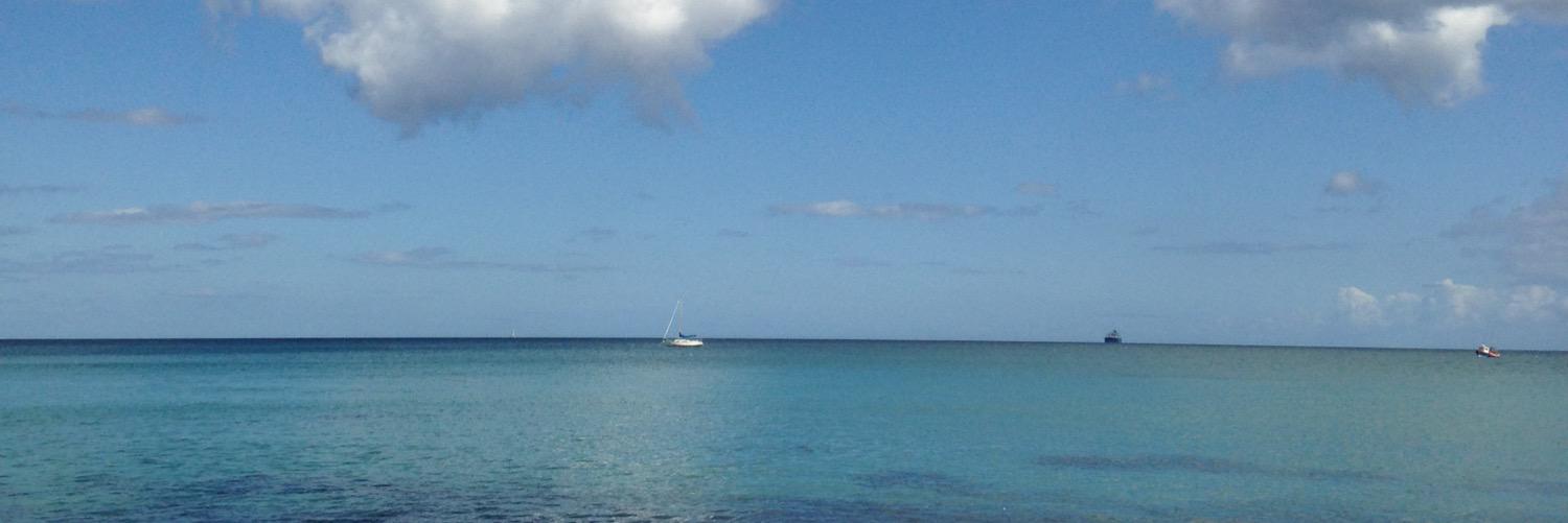 Samantha Shepherd banner