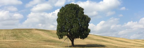 specialpopp Profile Banner