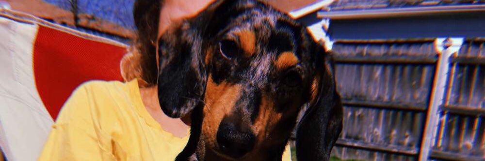 Madelyn_LoMo's profile banner image