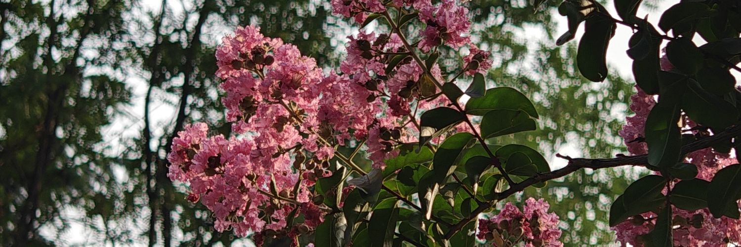 ll15581550's profile banner image