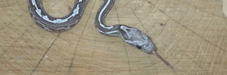 Kjdotm's profile banner image