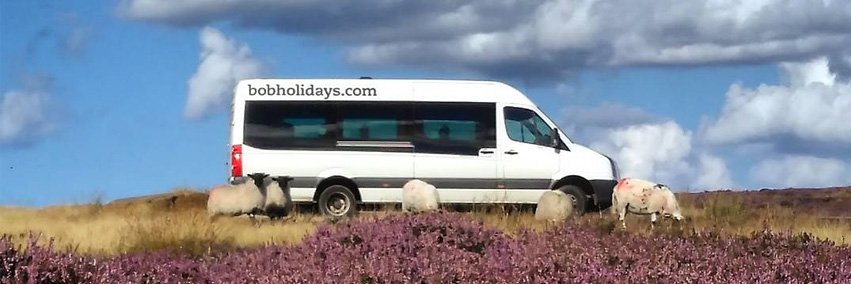 bobholidays's profile banner image
