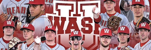 WashUBsblFan Profile Banner
