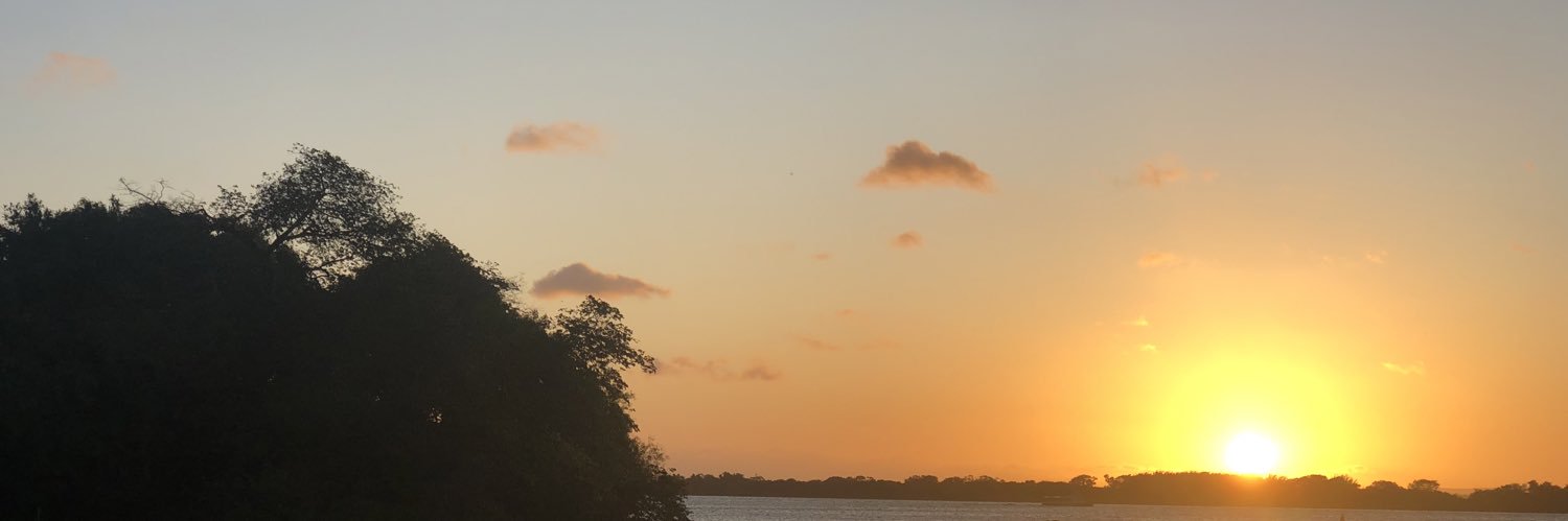 somentecarol's profile banner image