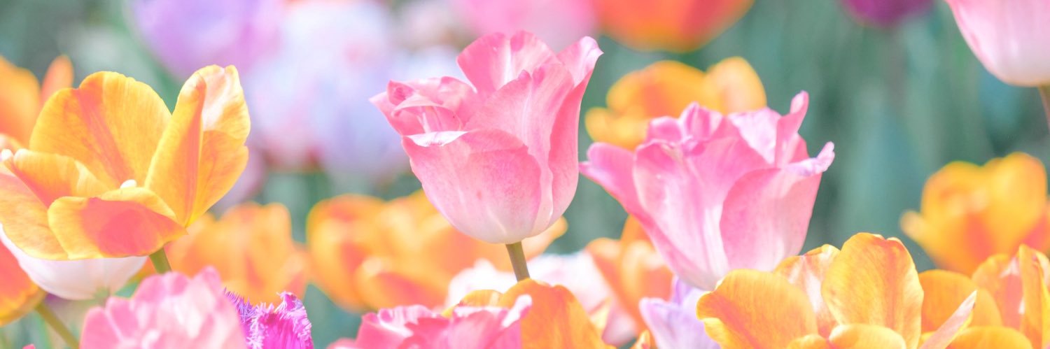 佐伯 banner