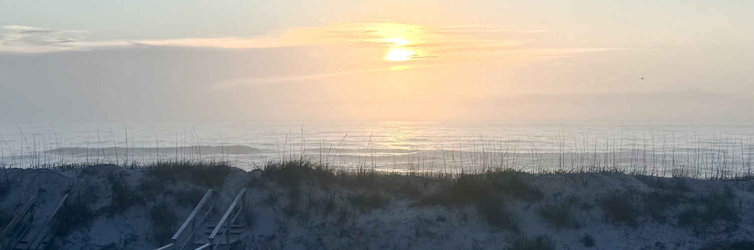 ThePoliticalWitch 🪄⚡️💥🧙 banner