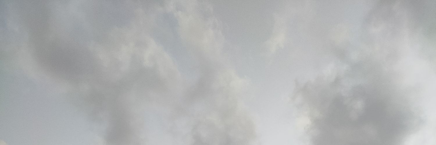 sara 🇵🇸 banner