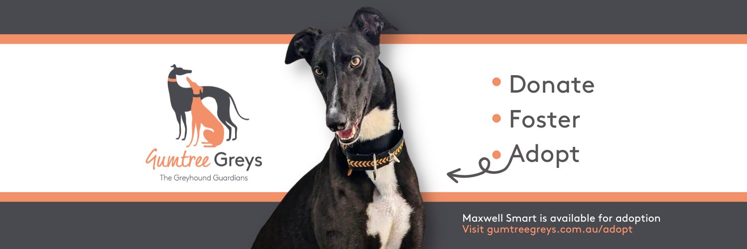 Gumtree Greys banner