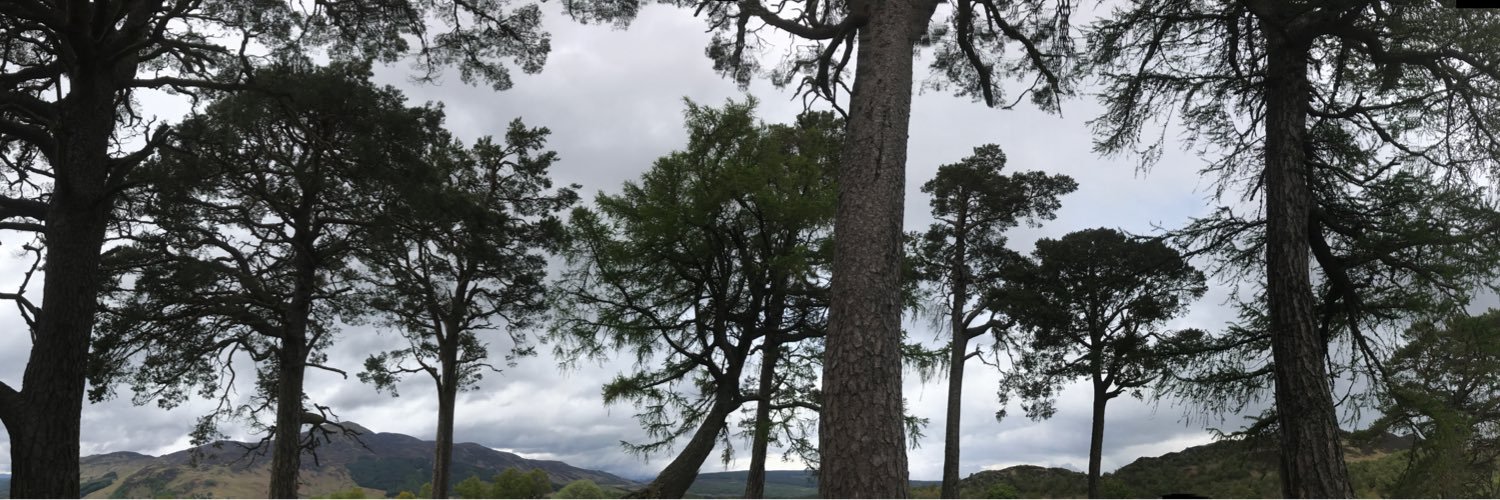 Patrice Bernard 🦔 banner