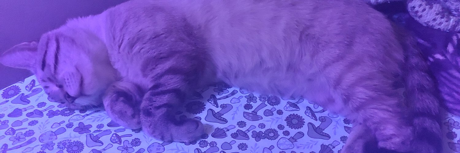 no name banner