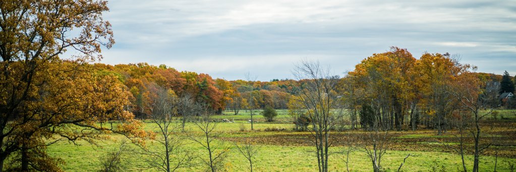 kgilper's profile banner image