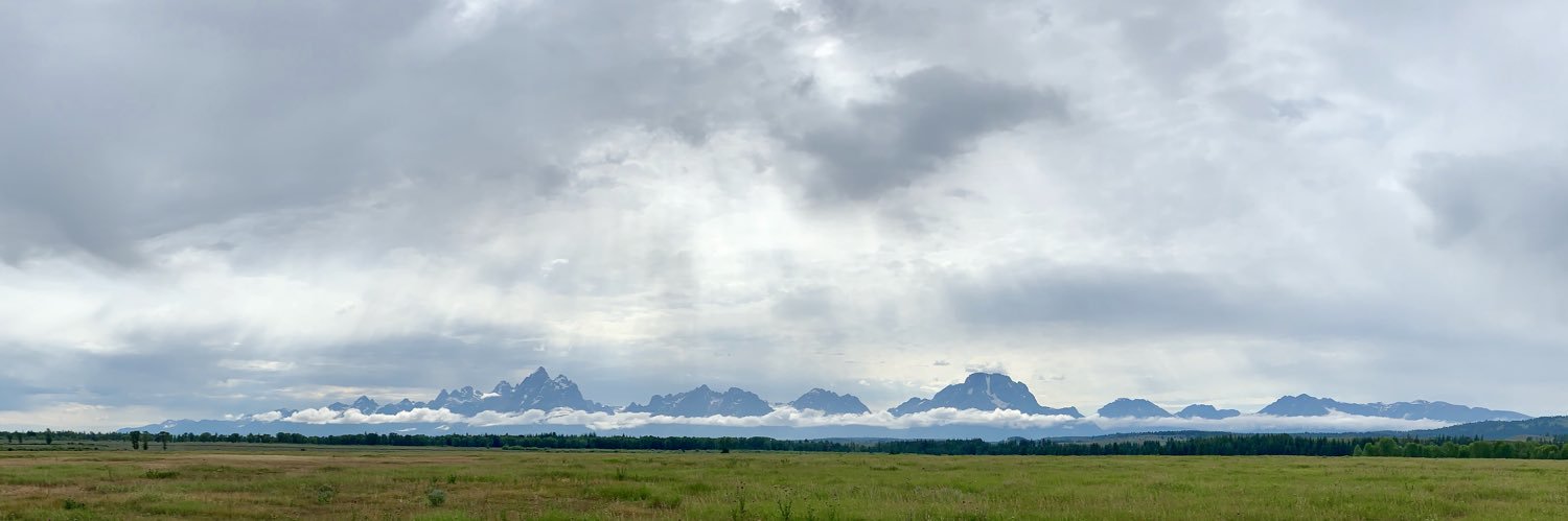 VikingSenso32 banner