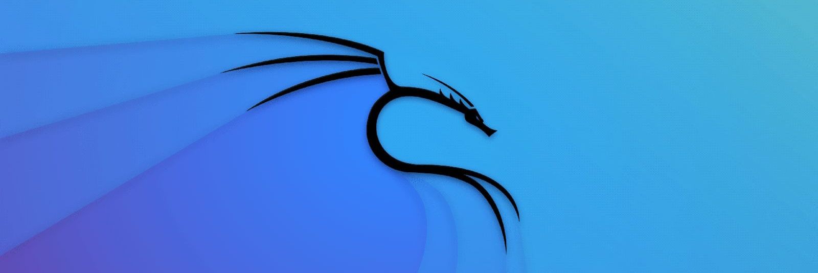 CYBER-ADHESIVE banner