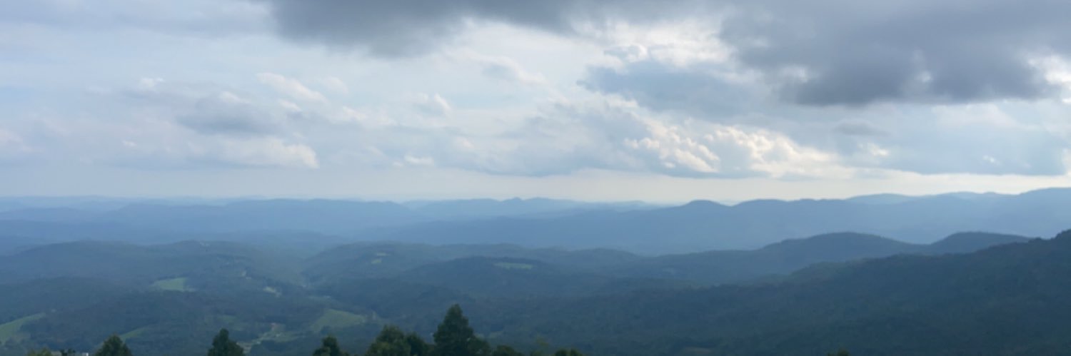 avastem's profile banner image