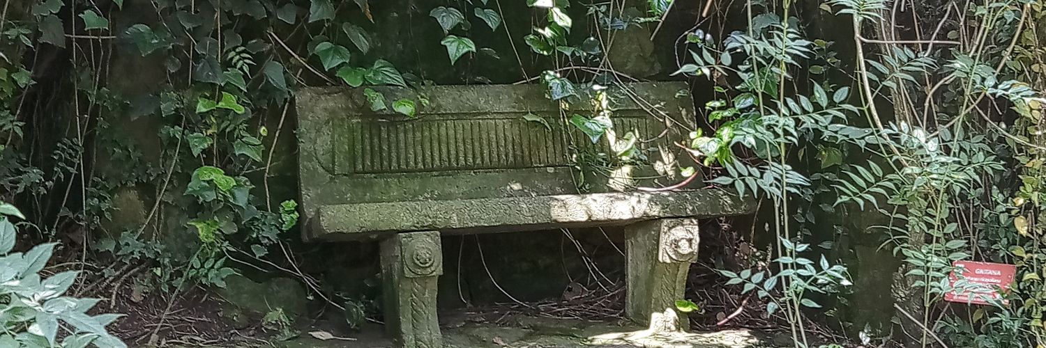 pedro carreño banner